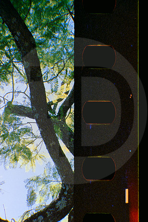 03 IRTRA Petapa con mi bella - Reflx Lab 800T - ARCA FILM LAB