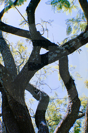 05 IRTRA Petapa con mi bella - Reflx Lab 800T - ARCA FILM LAB