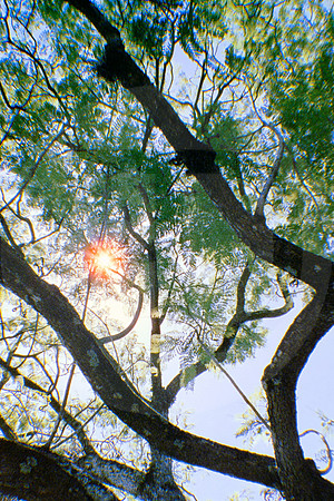 04 IRTRA Petapa con mi bella - Reflx Lab 800T - ARCA FILM LAB