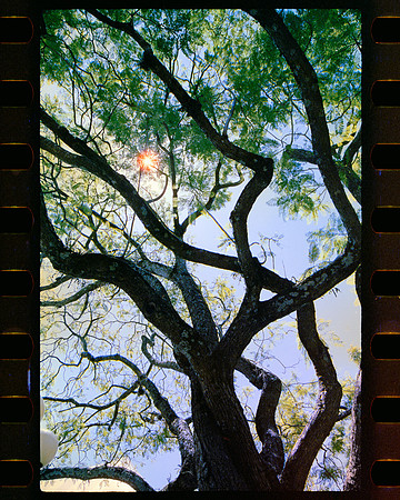 02 IRTRA Petapa con mi bella - Reflx Lab 800T - ARCA FILM LAB