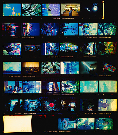 00 Reflx Lab 800T Contact Sheet - ARCA FILM LAB