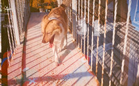 15 Estuardo Pernillo - Photoworks 400 por Arca Film Lab (Diciembre 2024) - Rollo 0544