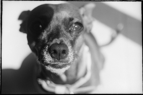 15 Jorge Mena - Fujifilm Neopan Acros 100 II por Arca Film Lab (Mayo 2024) - Rollo 0058
