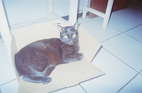 12 Natalia Mendoza - Fujifilm 400 por Arca Film Lab (Noviembre 2024) - Rollo 0489
