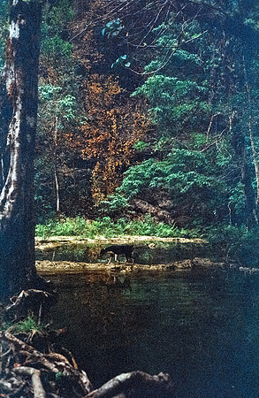 23 Rodrigo Lorenz - Kodak Gold 200 por Arca Film Lab (Julio 2024) - Rollo 0142