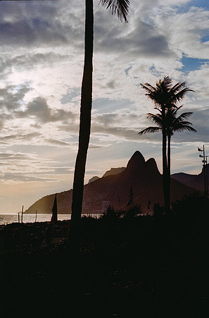 10 Daniel Dimitrakis - Kodak Ultramax 400 por Arca Film Lab (Enero 2025) - Rollo 0602