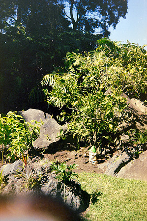 02 Constanza Close - Kodak Gold 200 por Arca Film Lab (Mayo 2024) - Rollo 0063