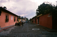 06 Alexander Daum - Kodak Ektachrome 100 por Arca Film Lab (Enero 2025) - Rollo 0634