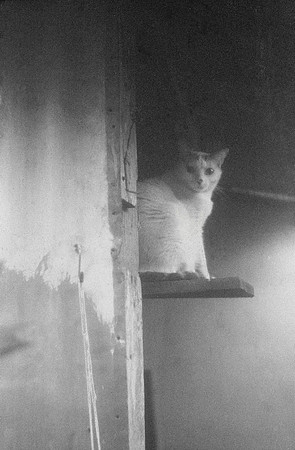 15 René Quijano - Fomapn 400 por Arca Film Lab (Septiembre 2024) - Rollo 0351