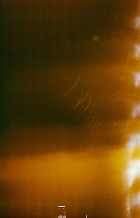 20 Gabriela Retana - Kodak Gold 200 por Arca Film Lab (Mayo 2025) - Rollo 1013