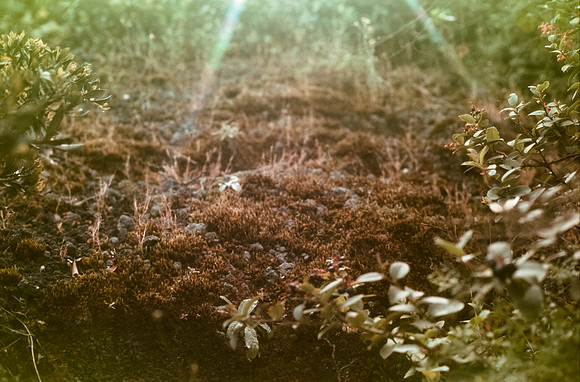 16 Rodrigo Bracamonte - Fujifilm Velvia 50 por Arca Film Lab (Enero 2025) - Rollo 0621