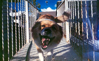 04 Estuardo Pernillo - Photoworks 400 por Arca Film Lab (Diciembre 2024) - Rollo 0544