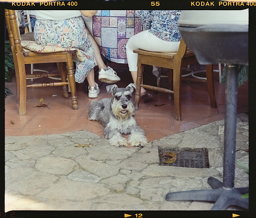 10 Mauricio Salguero - Kodak Portra 400 por Arca Film Lab (Marzo 2025) - Rollo 0688