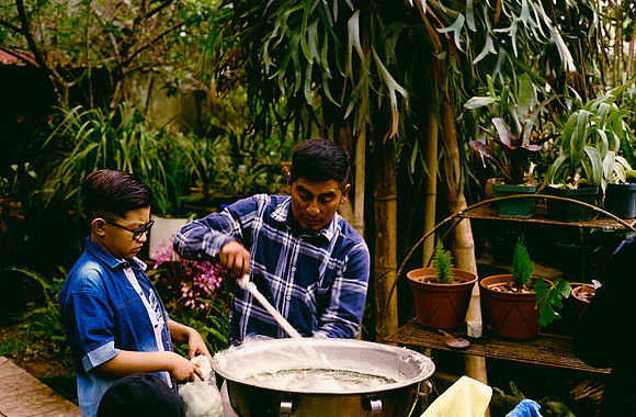 13 Alexander Daum - Kodak Ultramax 400 por Arca Film Lab (Enero 2025) - Rollo 0632