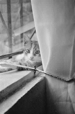 23 Carmen Tórres - Ilford HP5+ 400 por Arca Film Lab (Septiembre 2024) - Rollo 0334