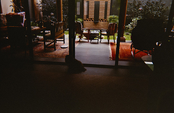 01 Denise Clicks - Fujifilm 400 por Arca Film Lab (Noviembre 2024) - Rollo 0476
