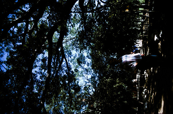 15 Ronald Ottoniel - Fujifilm Provia 100F por Arca Film Lab (Febrero 2025) - Rollo 0758