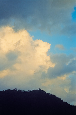 07 Ronald Ottoniel - Kodak Vision 3 500T por Arca Film Lab (Febrero 2025) - Rollo 0868