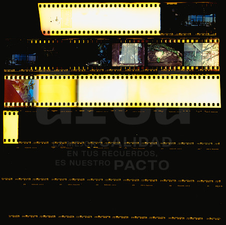 Avery 02 Kodak Gold 200 - Contact Sheet