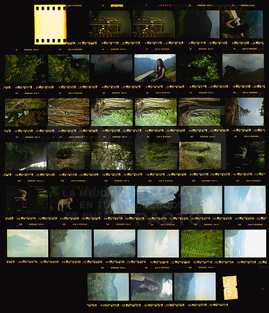 Avery 04 Kodak Gold 200 - Contact Sheet