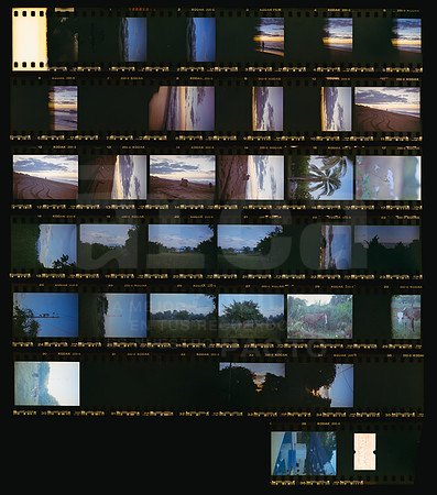 Avery 07 Kodak Gold 200 - Contact Sheet