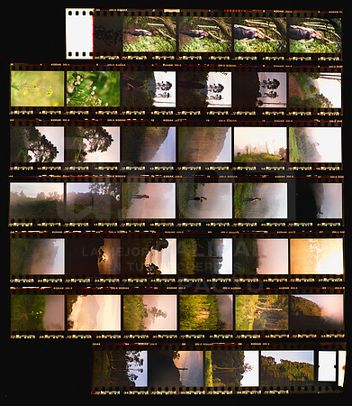 Avery 08 Kodak Gold 200 - Contact Sheet