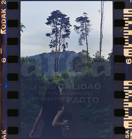 06 Rollo 08 Avery - Kodak Gold 200 por ArcaFilmLab (Octubre 2023)
