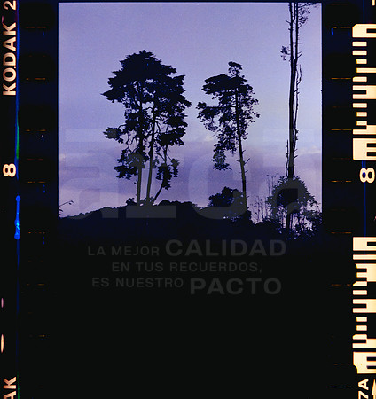08 Rollo 08 Avery - Kodak Gold 200 por ArcaFilmLab (Octubre 2023)