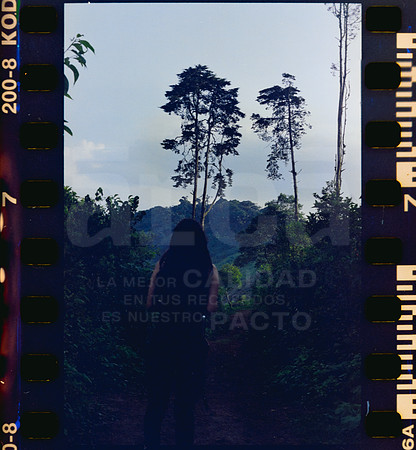 07 Rollo 08 Avery - Kodak Gold 200 por ArcaFilmLab (Octubre 2023)