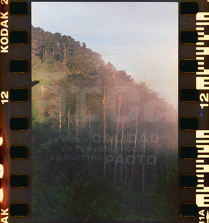 12 Rollo 08 Avery - Kodak Gold 200 por ArcaFilmLab (Octubre 2023)