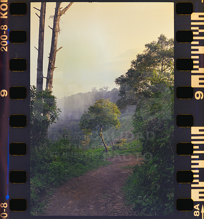 09 Rollo 08 Avery - Kodak Gold 200 por ArcaFilmLab (Octubre 2023)