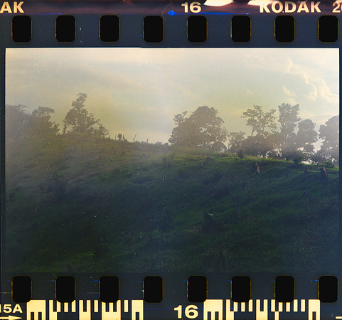 16 Rollo 08 Avery - Kodak Gold 200 por ArcaFilmLab (Octubre 2023)
