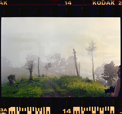 14 Rollo 08 Avery - Kodak Gold 200 por ArcaFilmLab (Octubre 2023)