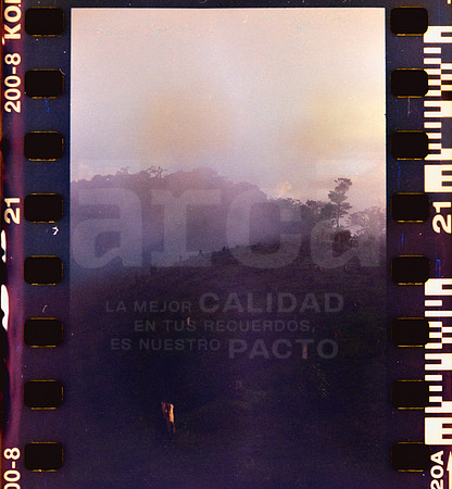 21 Rollo 08 Avery - Kodak Gold 200 por ArcaFilmLab (Octubre 2023)