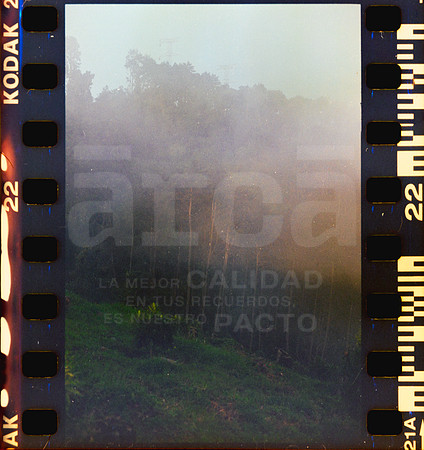 22 Rollo 08 Avery - Kodak Gold 200 por ArcaFilmLab (Octubre 2023)
