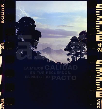 24 Rollo 08 Avery - Kodak Gold 200 por ArcaFilmLab (Octubre 2023)