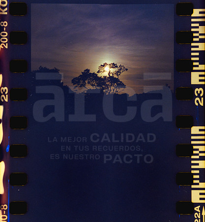 23 Rollo 08 Avery - Kodak Gold 200 por ArcaFilmLab (Octubre 2023)