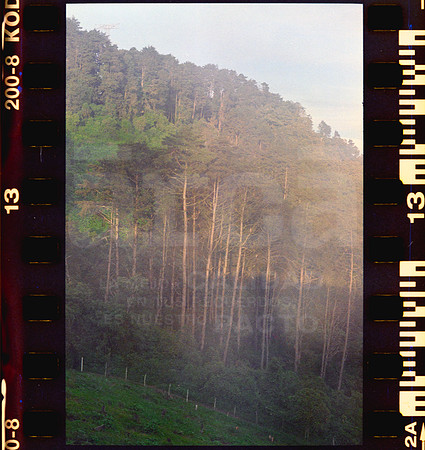 13 Rollo 08 Avery - Kodak Gold 200 por ArcaFilmLab (Octubre 2023)