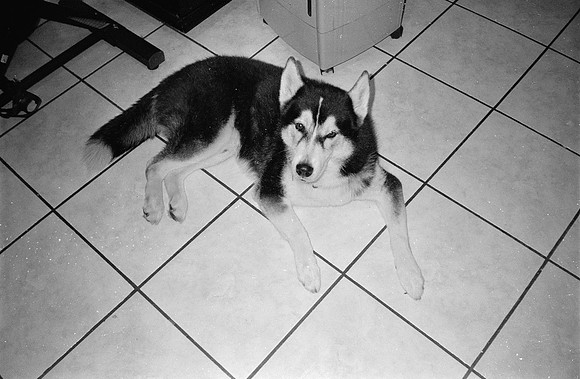 01 Marcelo Domínguez - Ilford HP5+ 400 por Arca Film Lab (Diciembre 2024) - Rollo 0485