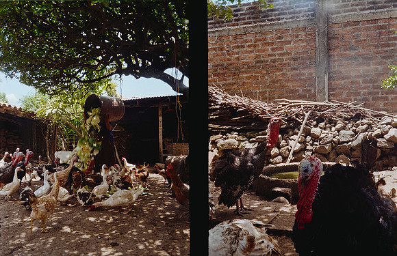 30 Sofía Castro - Kodak Gold 200 por Arca Film Lab (Febrero 2025) - Rollo 0725