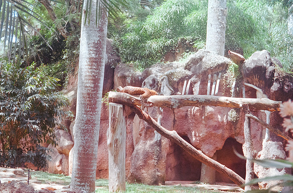 15 Cármen Torres - Kodak Gold 200 - Arca Film Lab (Septiembre 2024) - Rollo 0335