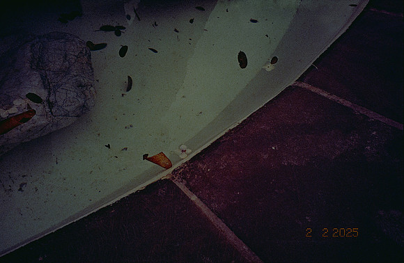 35 Mia Yun - Lomography 400 por Arca Film Lab (Febrero 2025) - Rollo 0740
