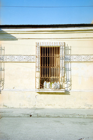 08 Lilargentique - Reflx Lab 400D por Arca Film Lab (Abril 2024)