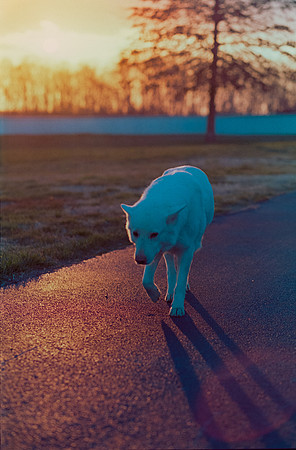 14 Todd Morales - Fujifilm Pro400H por Arca Film Lab (Agosto 2024) - Rollo 0225