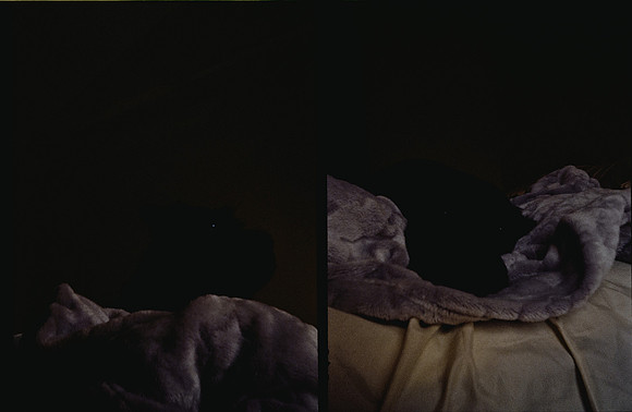 14 Sofía Castro - Kodak Gold 200 por Arca Film Lab (Febrero 2025) - Rollo 0725