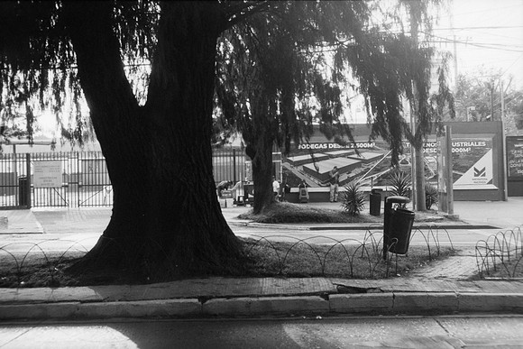 22 Iván Ortíz - Fomapan 100 Push 400 por Arca Film Lab (Abril 2024)