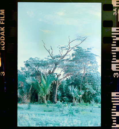 03 Rollo 06 Avery - Kodak Gold 200 Expirado por ArcaFilmLab (Octubre 2023)