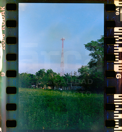 09 Rollo 06 Avery - Kodak Gold 200 Expirado por ArcaFilmLab (Octubre 2023)