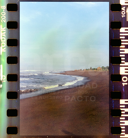 10 Rollo 06 Avery - Kodak Gold 200 Expirado por ArcaFilmLab (Octubre 2023)