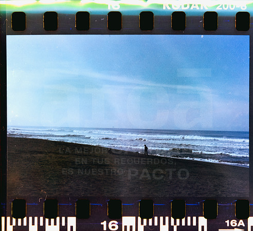 16 Rollo 06 Avery - Kodak Gold 200 Expirado por ArcaFilmLab (Octubre 2023)